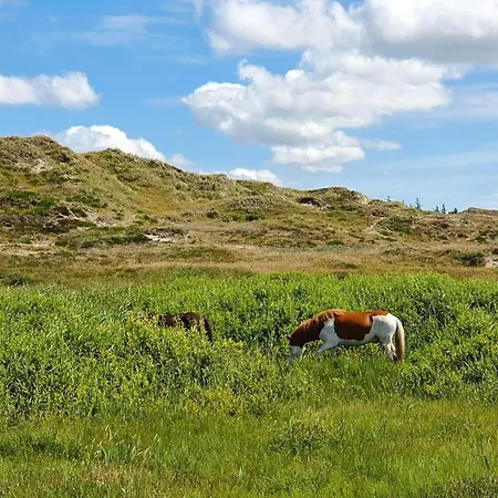 Prázdninový dům 8 Person In Norre Nebel-by Traum Nørre Nebel