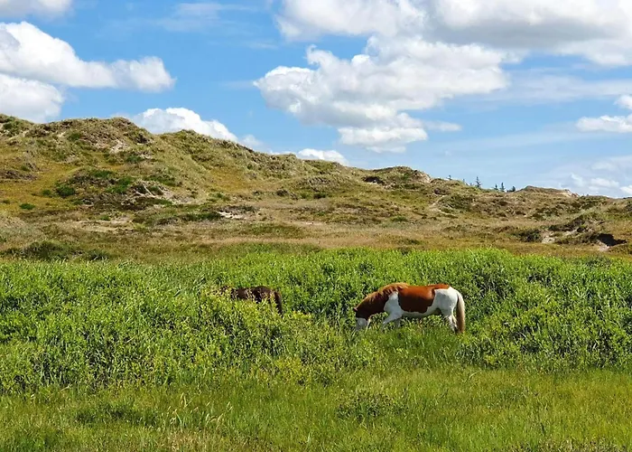 Ferienhaus 8 Person In Norre Nebel-by Traum Nørre Nebel