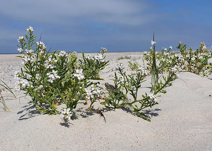 8 Person In Norre Nebel-by Traum